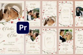 Wedding Invitation Instagram Stories 44943597