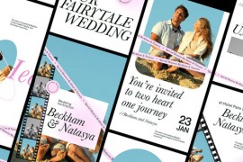 Wedding Invitation Stories Pack 48939924