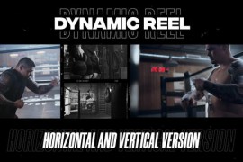 Dynamic Reel Opener 43494803