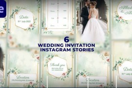 Wedding Invitation Instagram Stories 47523284
