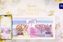Wedding Invitation 43444640