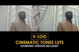 V-Log Cinematic Tones and Standard Color LUTs 51379261
