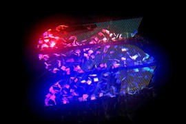 Logo Animation 45872546