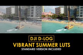 DJI D-Log Vibrant Summer LUTs 50807838