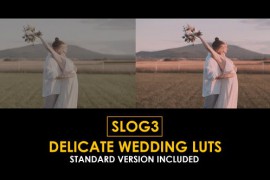 Slog3 Delicate Wedding and Standard Color LUTs 51104028