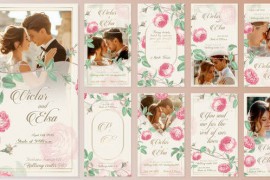 Wedding Invitation Instagram Reels Stories 51146095