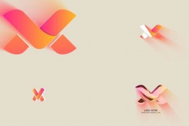 Logo Intro 50231333