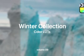 Winter LUTs Collection Vol. 09 50022411
