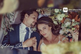Wedding Photo Slideshow 50209139
