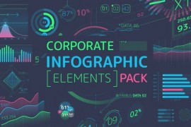 Corporate Infographic Elements Pack 24176029