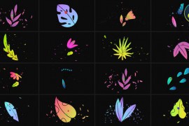 Flowers Pack for DaVinci Resolve 48963300