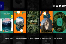 Album Instagram Reels 48802593