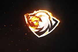 Fire Burn Logo Reveal 33238041