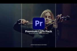 LUT Color Presets | Premiere Pro 43193572