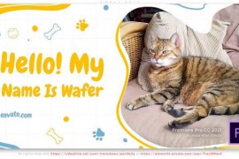 Sweet Pets 45985554