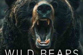 Sound Ideas Wild Bears FX FLAC