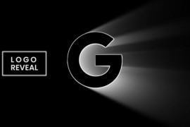 Logo Reveal 50857494