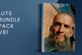 LUTs Bundle Pack V81 | FCPX 49545580