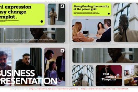 Business Presentation 46602344
