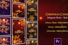 Christmas Cards - Instagram Stories - Premiere Pro 49622360