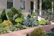 Maxtree Plant Models Vol.63