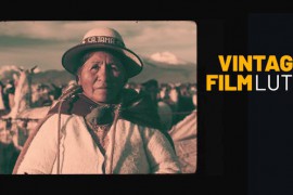 Vintage Film LUTs 49447176