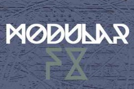 Raw Loops - Modular FX WAV