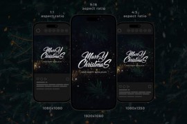 Christmas Wishes Instagram Stories 42193653