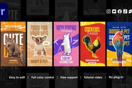 Pet Shop Instagram Reels 45851842