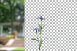 Animated Flowering tree with blue flowers 51109910