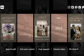 Wedding Instagram Stories 46642845