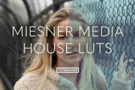 Filtergrade – Meisner Media House Luts