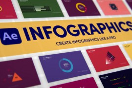 Infographics | After Effects 34114950