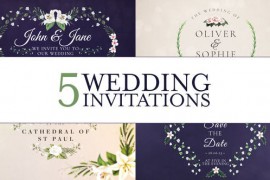 Wedding Invitation 45213891