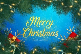 Merry Christmas Intro | Happy New Year Intro 48998478