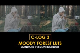 C-Log3 Moody Forest and Standard Color LUTs 51228957