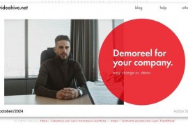 Company Presentation Minimal Style 51731825