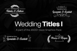 Elegant Wedding Titles 47686653