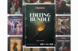 Dopamine Frame – The Video Editing Bundle