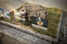 Natural Time Line 26541128