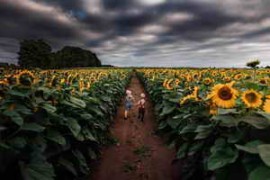 Free Download:Meridian Presets – Meg Loeks – Solstice