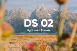 Dylan Spitz – DS Presets 02 for Lightroom Presets