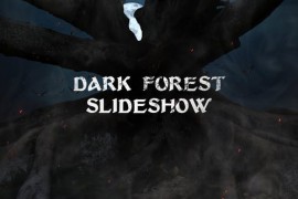 Dark Forest Slideshow 50734449