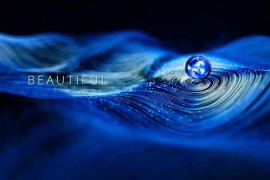 Curled Particles 44453371