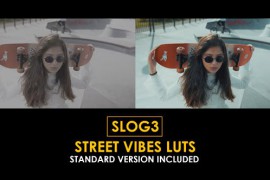 Slog3 Street Vibes and Standard Color LUTs 50878546