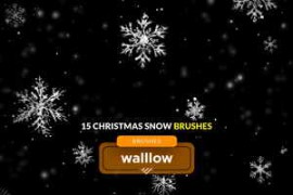 Free Download:Falling snow and snowflakes photoshop brushes