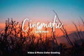 MapleVisuals – 12 Cinematic LUTs Pack