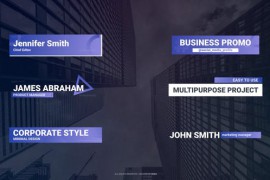 Lower Thirds: Business 42432873