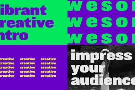 Vibrant Creative Intro 50194126