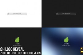 Search Logo Reveal 16757728